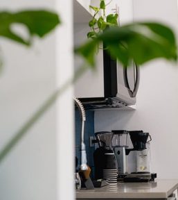 coffee-and-plants
